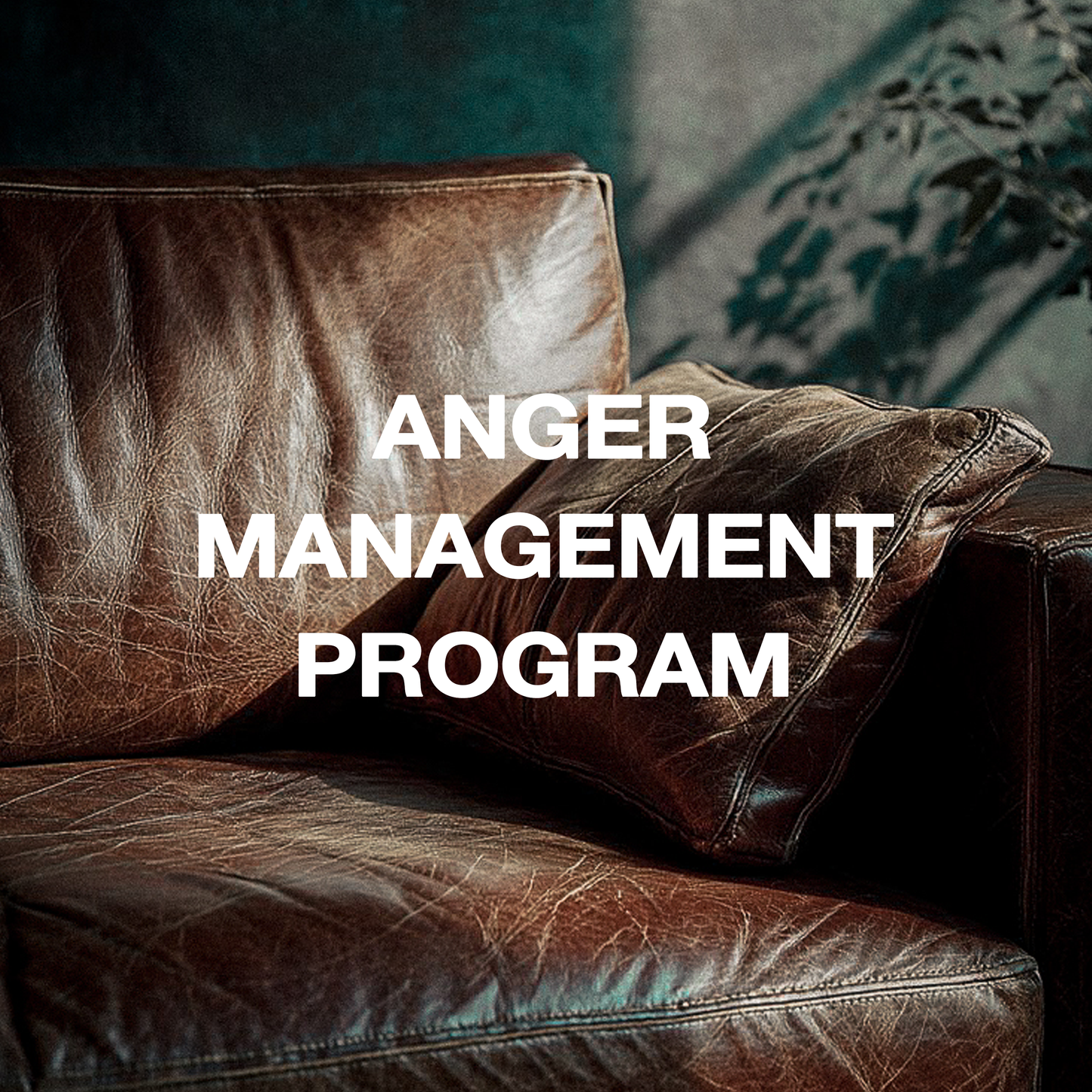 Anger Management Program