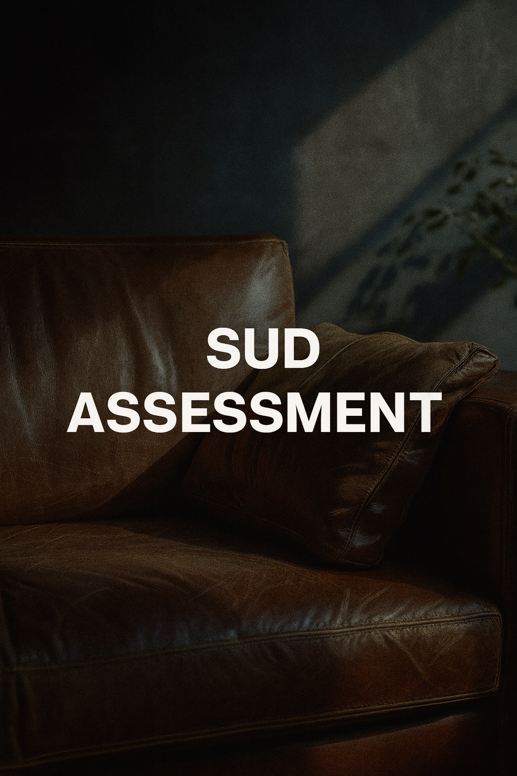 Initial SUD Assessment