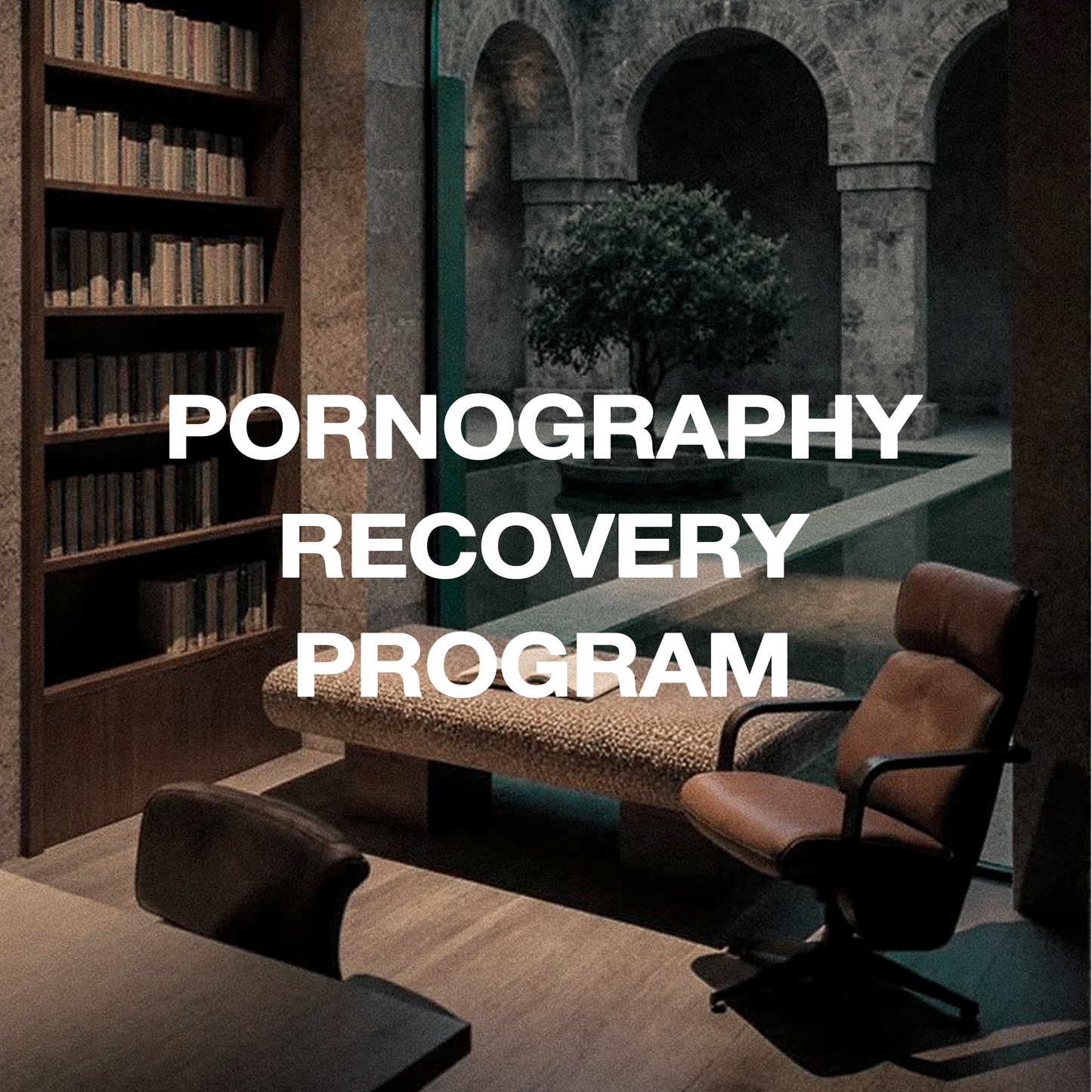 Porn Recovery Program